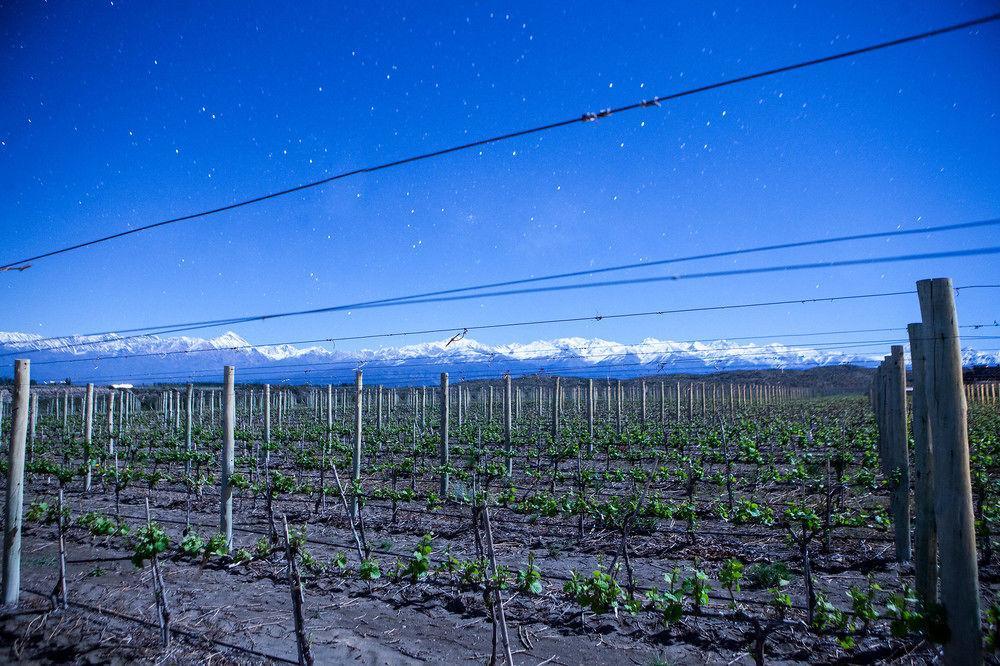 Auberge Du Vin, A Tribute Portfolio Hotel ตูปุนกาโต ภายนอก รูปภาพ
